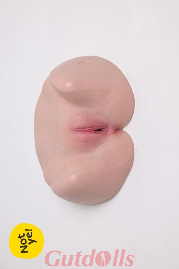 Innere Vagina Damenmodell S1