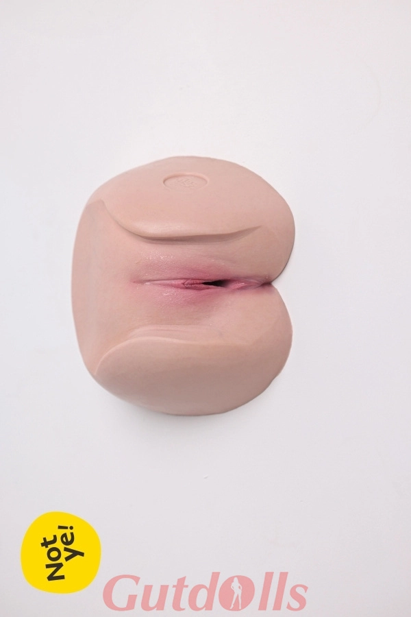 Innere Vagina Damenmodell S3
