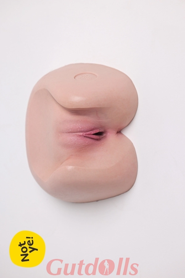 Innere Vagina Damenmodell S4