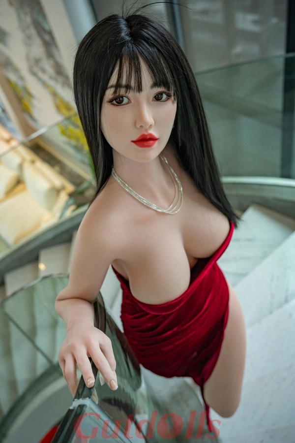 dollhouse Wushi zubehör