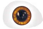 3 Augen