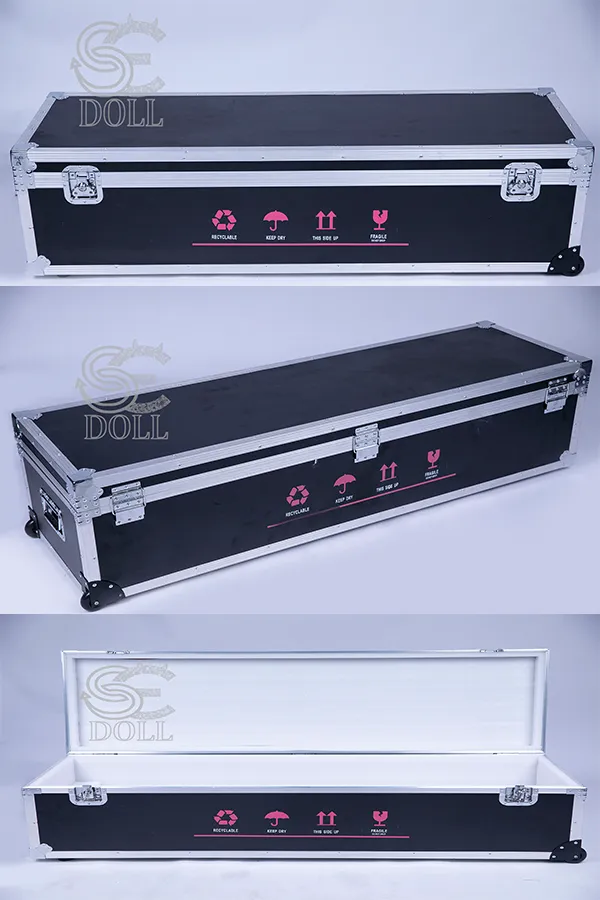 Aufbewahrungsbox Flightcase
