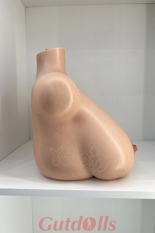 Yeloly Torso doll bjd