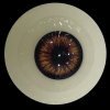 axb-06 Augen