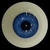axb-08 Augen