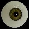 axb-09 Augen