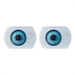 1 Augen