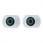 3 Augen