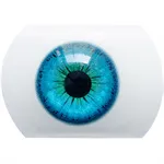 01 Augen