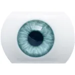02 Augen