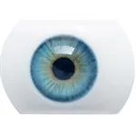 03 Augen