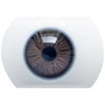 04 Augen