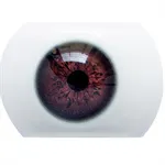 05 Augen