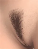 Schambehaarung Haben-1