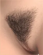 Schambehaarung Haben-2