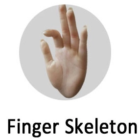 angel Finger Skelett Ja