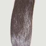 Implanwartungtes Haar:55