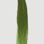 Implanwartungtes Haar:74C