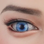 13 Augen
