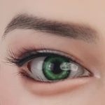 14 Augen