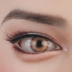 17 Augen