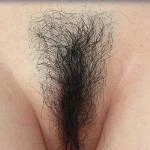 Schambehaarung Haben-1