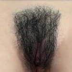 Schambehaarung Haben-3