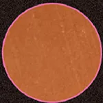 tanned Haut