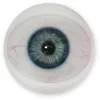E15 Augen