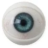 E16 Augen