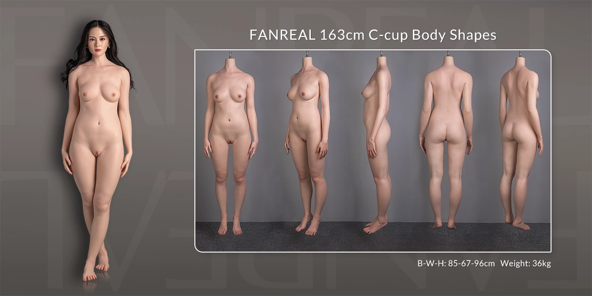 FANREAL 163cm C-Cup Körpergrößen