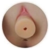 Vaginaleinsatz