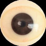 10 Augen