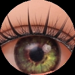 6 Augen