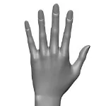 Harte Hand