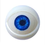 2 Augen