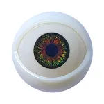 5 Augen