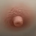 2-Nippelfarbe