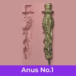 Anal Texture 1