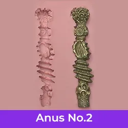 Anal Texture 2
