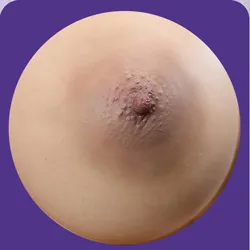 4-Nippelfarbe