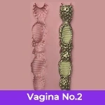Vaginal Texture 1