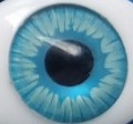5 Augen
