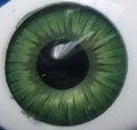 1 Augen