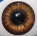 2 Augen