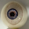 01 eye