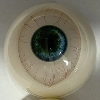 03 eye