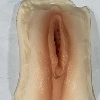 labia-1