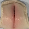 labia-7