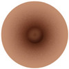 Areola4